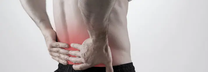 Chiropractic Grand Junction CO Back Pain Chiropractic Grand Junction CO Back Pain