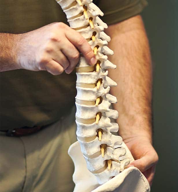 Chiropractic Grand Junction CO Spine